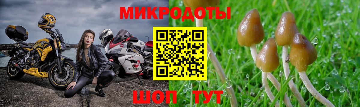 Галлюциногенные грибы Magic Shrooms Подольск